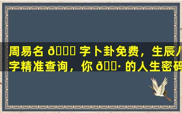 周易名 🐋 字卜卦免费，生辰八字精准查询，你 🕷 的人生密码尽在此！